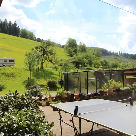 Apartment Obstgarten Oberharmersbach