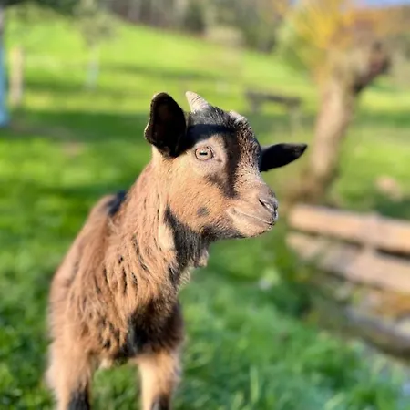 Obstgarten Apartment