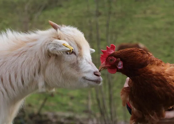 아파트 Obstgarten *